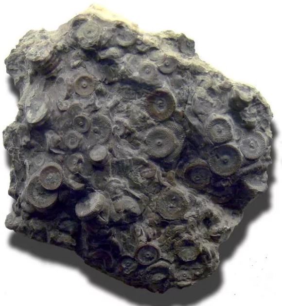 artefacts4.JPG